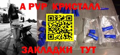 спиды Донской