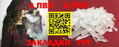 спиды Донской