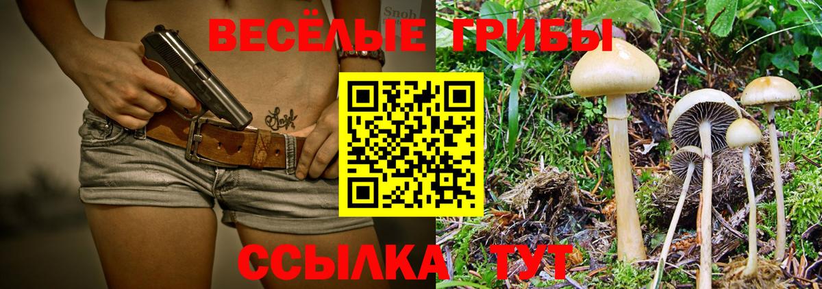 Псилоцибиновые грибы Cubensis Менделеевск