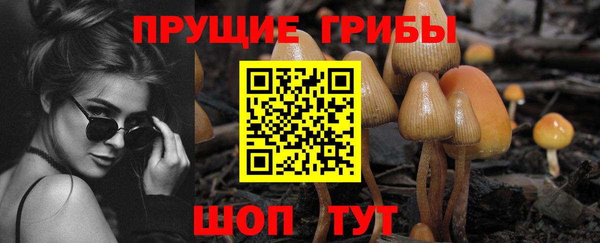 Менделеевск  Галлюциногенные грибы MAGIC MUSHROOMS  Галлюциногенные грибы MAGIC MUSHROOMS  Вход с VPN 